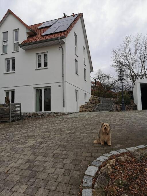 RAuszeit Appartement Nittendorf Buitenkant foto